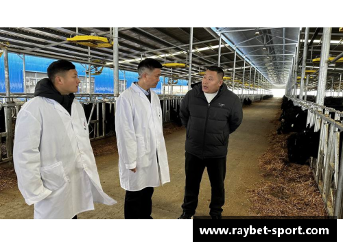 九台农商银行推出“草原牛肉”信贷产品，支持农业产业发展