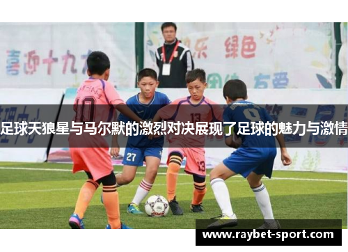 足球天狼星与马尔默的激烈对决展现了足球的魅力与激情